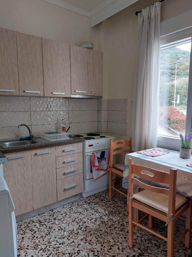 Luminosa Seaview Apartment Nea Iraklitsa 外观 照片