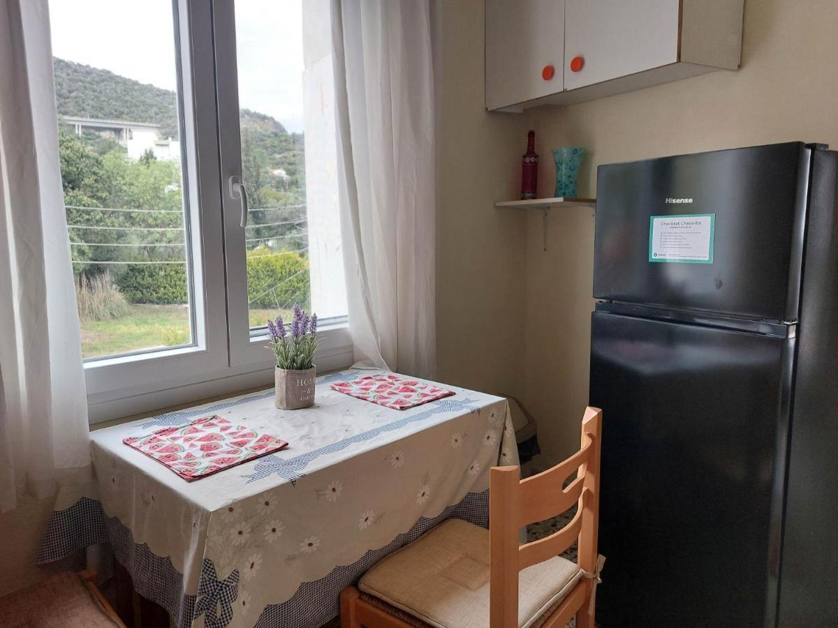 Luminosa Seaview Apartment Nea Iraklitsa 外观 照片
